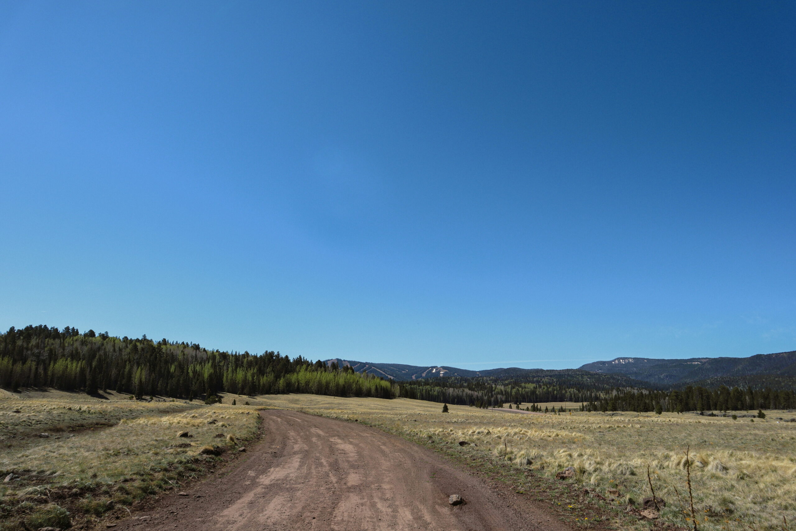 Lakeside, AZ scenery